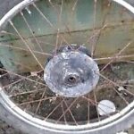 Yamaha Dt50 Front Wheel Project Spares Or Repair